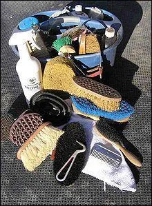 Quels sont les instruments du pansage élémentaire ?