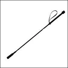 À quoi sert une cravache ?