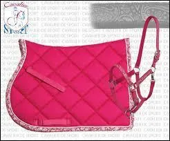 Qui doit OBLIGATOIREMENT avoir sa selle, son licol, son filet, ses brosses ?