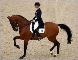Quel est l'équipement du cavalier de dressage en compétition ?
