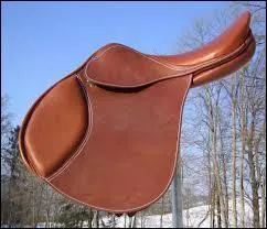 Quel est l'équipement du cavalier de saut en compétition ?