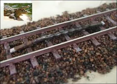 Si je vous dis : barre ou patin d'acier, rails, acoustique, vous me répondez ---------.