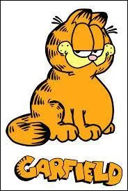 Comment s'appelle le maître de Garfield ?