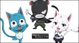 Quel le vrai nom de la race des trois chats de la guilde de Fairy tail ?