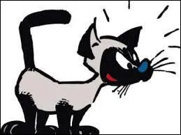 Dans Boule et Bill, Caporal est le chat de...