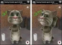 Quel est le prénom du chien qui est ami avec Tom le Chat ?