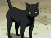 Ce chat peut se transformer en humain tout comme McGonagalle. Quel est son vrai prénom ?