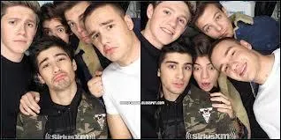 Avec qui Zayn compte-t-il se marier ? (2014)