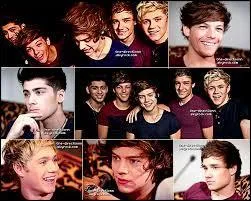 D'où vient Niall Horan ?