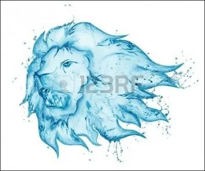 Quel est le nom de l'animal de Shimy ?