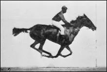 Comment conserver le galop ?