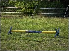 Qu'est-ce qu'un cavaletti ?