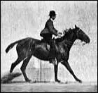 Comment se comporter pendant un saut ?