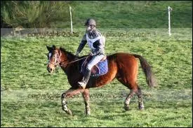 Comment se comporter en terrain varié ?