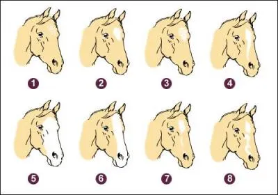 Comment se nomment les marques en tête 3, 8 et 6 ?