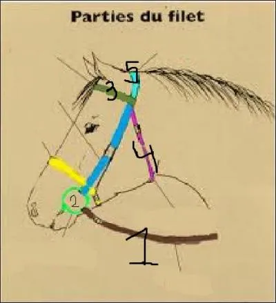 Comment se nomment les parties 1, 2, 3, 4 et 5 ?