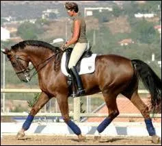 Comment trotter enlevé ?