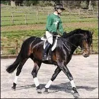 Comment conduire sur des courbes larges au trot ?