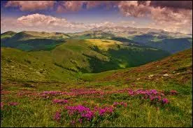 Dans quel pays se trouve la région de Transylvanie ?