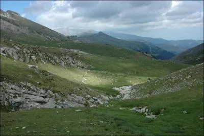 L'&eacute;tage alpin sup&eacute;rieur, entre 2200 et 2900 m&egrave;tres, est couvert de ------------- dont la composition varie selon la nature de la roche, l'humidit&eacute; et l'orientation.