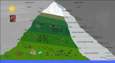 L'&eacute;tage subalpin se situe entre 1600 et 2200 m&egrave;tres. On y trouve des landes &agrave; --------------. Regardez bien la photo.