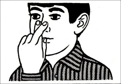 Que se passe-t-il quand on frotte dans le sens de la longueur l'index et le majeur croisés sur le bout du nez ? Chaque 'doigt' envoie au cerveau l'information selon laquelle il touche le nez.