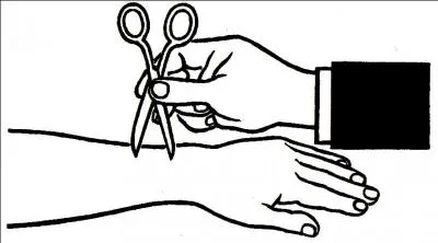 Ouvre une paire de ciseaux sur une largeur de 3 cm et touche le bras d'un camarade (yeux bandés) avec les deux pointes. Ton camarade ne sent qu'une seule pointe au niveau du bras alors que sur les lèvres, il perçoit les deux pointes. Comment l'expliques-tu ?