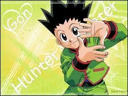 One Piece ou HunterXHunter ?
