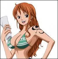 One Piece ou HunterXHunter ?