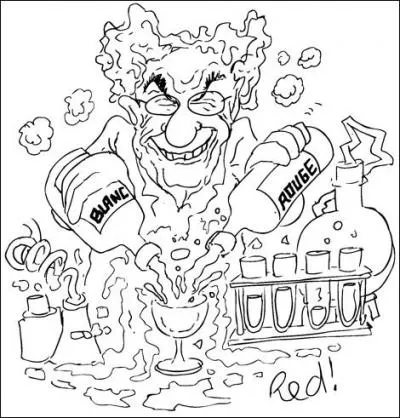 En Provence, les producteurs de vin ros sont inquiets. Un projet de directive europenne prvoit...