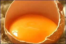 Mai pourquoi le jaune d'uf fait-il dorer les pâtes de nos pâtisseries ?