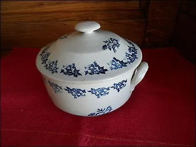 Servez dans des -----------.