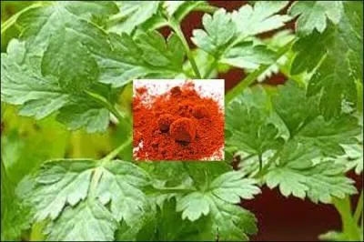 Pour une touche de couleur, réjouir l'oeil, saupoudrez de ---------- et déposez 1 ou 2 feuilles de ------------.