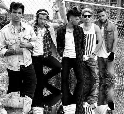 Dans quel clip peut-on voir les membres des familles de garçons ?