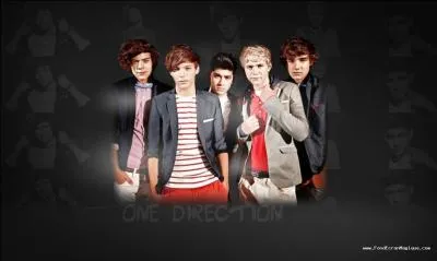 Quel groupe ami a fait la première partie de leur tournée en 2014 ?