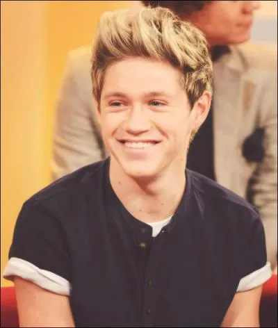 Quel membre du groupe One Direction s'est cassé le bras pendant la "Where We Are" ?