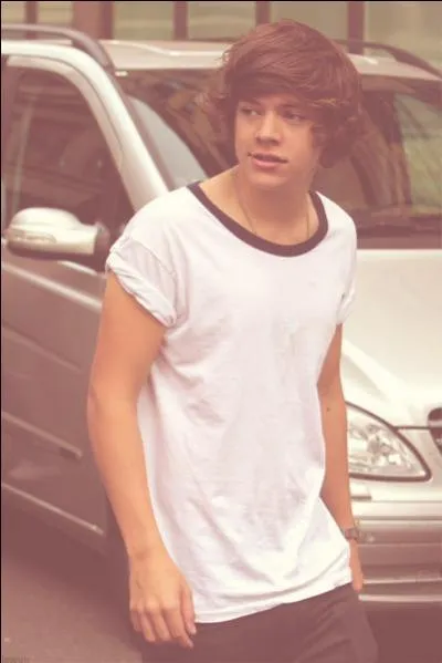 Quel autre métier Harry avait-il eu avant de devenir chanteur ?