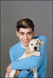 Quiz One direction