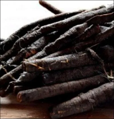 Et voici le légume, un peu oublié, qui convient parfaitement pour accompagner le plat précédent : mais quel est-il ?