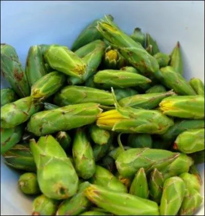 Justement, puisque nous en sommes là, quels sont ces petites choses qui se marient si bien dans une omelette ?