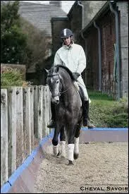 Dans quel pays trotte-t-on sur un diagonal différent de celui de France ?