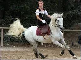 Quelle est la vitesse moyenne du galop ?