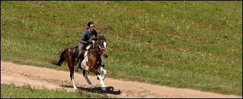 Quelles sont les 5 sortes de galop ? (par ordre croissant de vitesse)