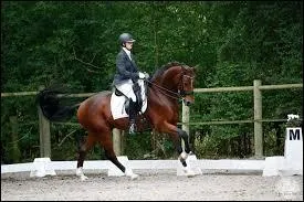 Quelle figure de dressage au galop n'existe pas ?