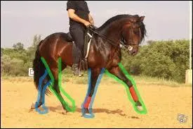 Qu'est-ce que le traquenard ?