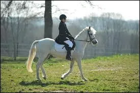 Quelles sont les 3 sortes de pas ? (par ordre croissant de vitesse)