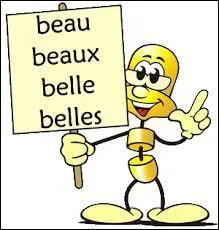 Les adjectifs de la première classe se déclinent sur ...