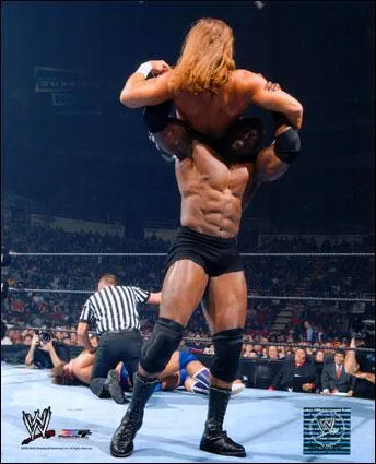 Quelle est cette prise de finition?(Bobby Lashey)