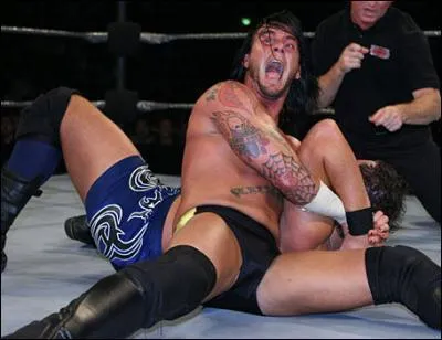 Quelle est cette prise de soumission?(Cm Punk)