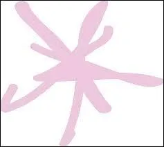 Quel symbole a failli constituer le prénom d'un enfant ?